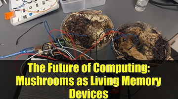 The Future of Computing: Mushrooms as Living Memory Devices