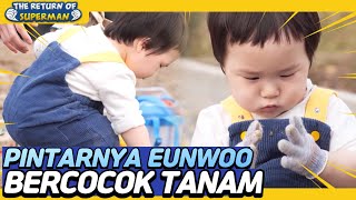 [IND/ENG] Bakat bertanam?! Ternyata Eunwoo anak desa! | The Return of Superman | KBS WORLD TV 230409