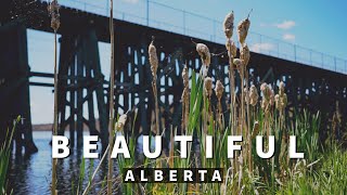 An Afternoon Exploring the Treasures of Alberta Canada Through My Eyesγ4Kγ