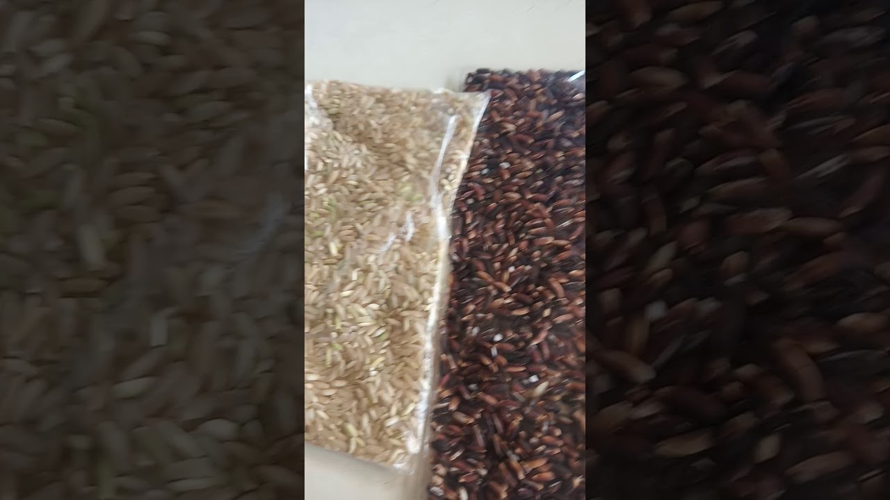 Sugar free Organic black and brown rice for sale. YouTube