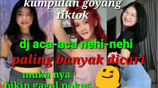 tiktok viral aca-aca nehi-nehi terbaru 2022