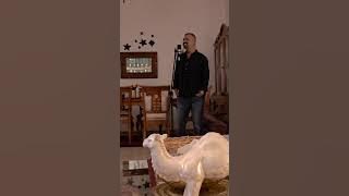 Soldier of Fortune @austinbahrain8521 