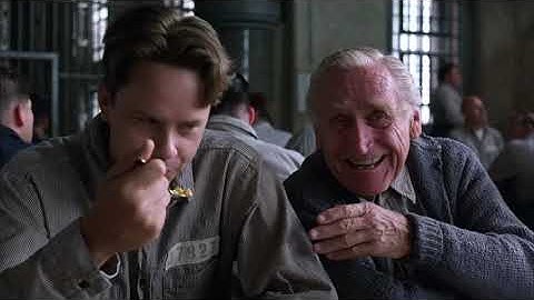 The Shawshank Redemption - Andy does taxes scene