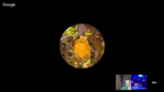 Thursday Nite Reef Talk