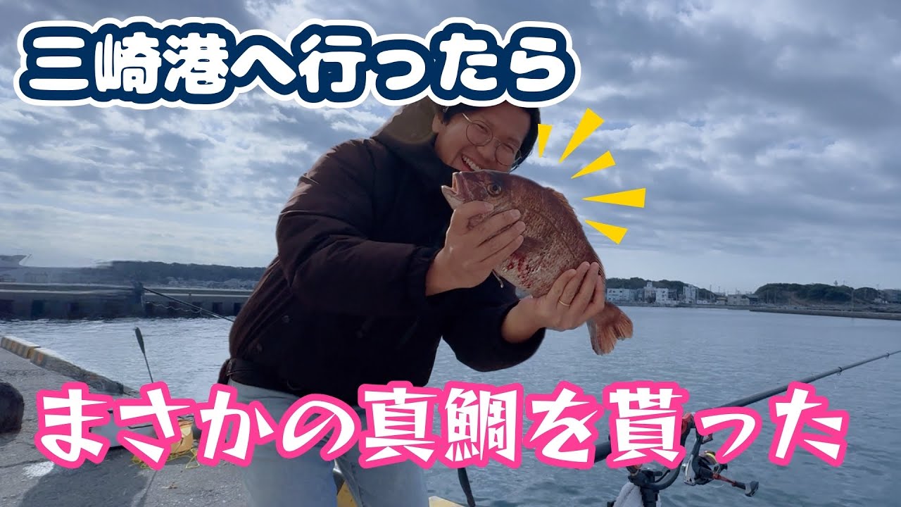 三崎港へ行ったら真鯛貰った！