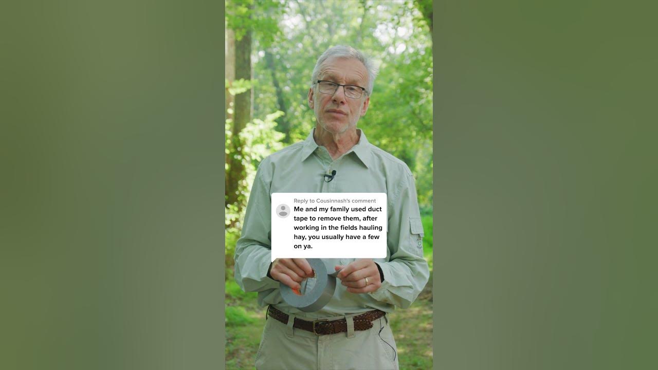 Can You Use Duct Tape To Remove Ticks? Tick Expert Advice YouTube