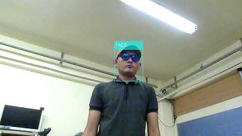 Face Tracking with PID Controller (single face)