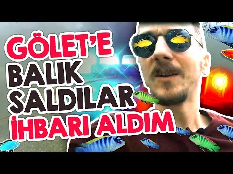 Gölet'e Balık Saldılar İHBARI ALDIM - Ciklet, Kılıç, Melek Balığı ve..