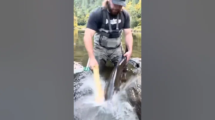 How to Bonk and Bleed a Salmon