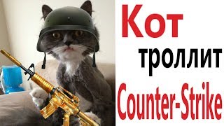Хозяин И Мурзик Новые Серии 2022 Года Хозяин И Мурзик Новые Серии 2022 Года