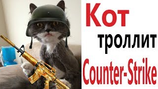 Лютые приколы. COUNTER - STRIKE ТРОЛЛИТ КОТ!!! Самое смешное видео! Засмеялся проиграл! - Domi Show!