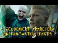 Grindelwald ya sabía de la llegada de Voldemort | ¿Voldemort aparecerá en Fantastic Beasts?