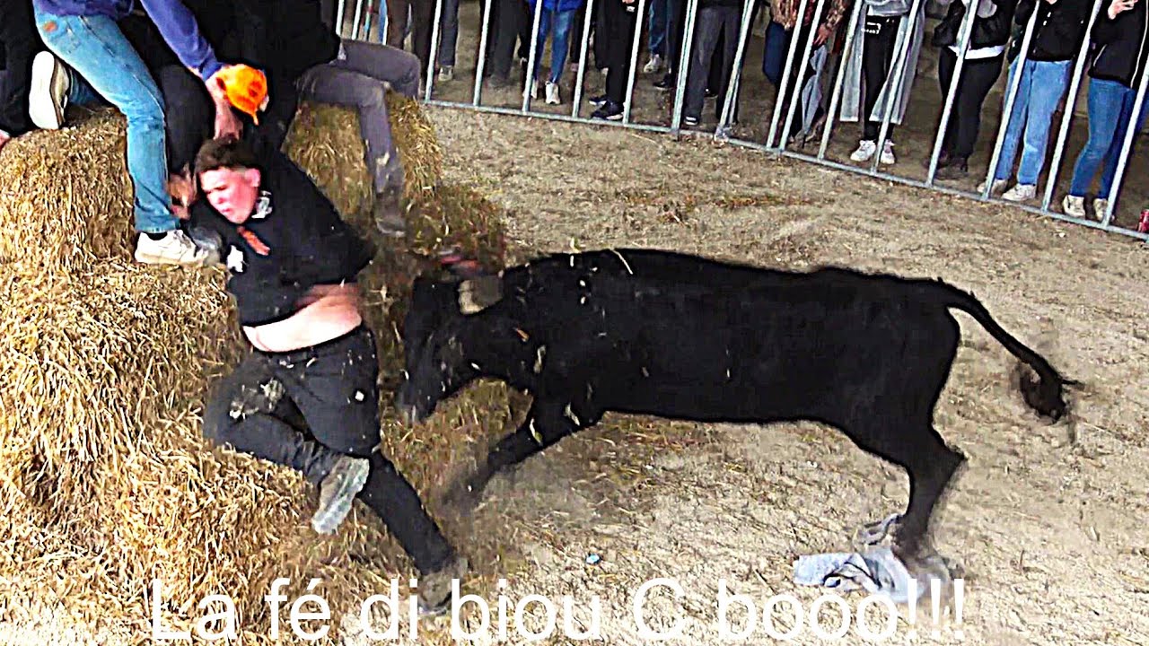 Encierro hivernales - Mas Blanc des Alpilles 09.03.2025.