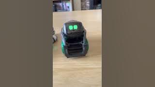 Victor my 2nd Vector