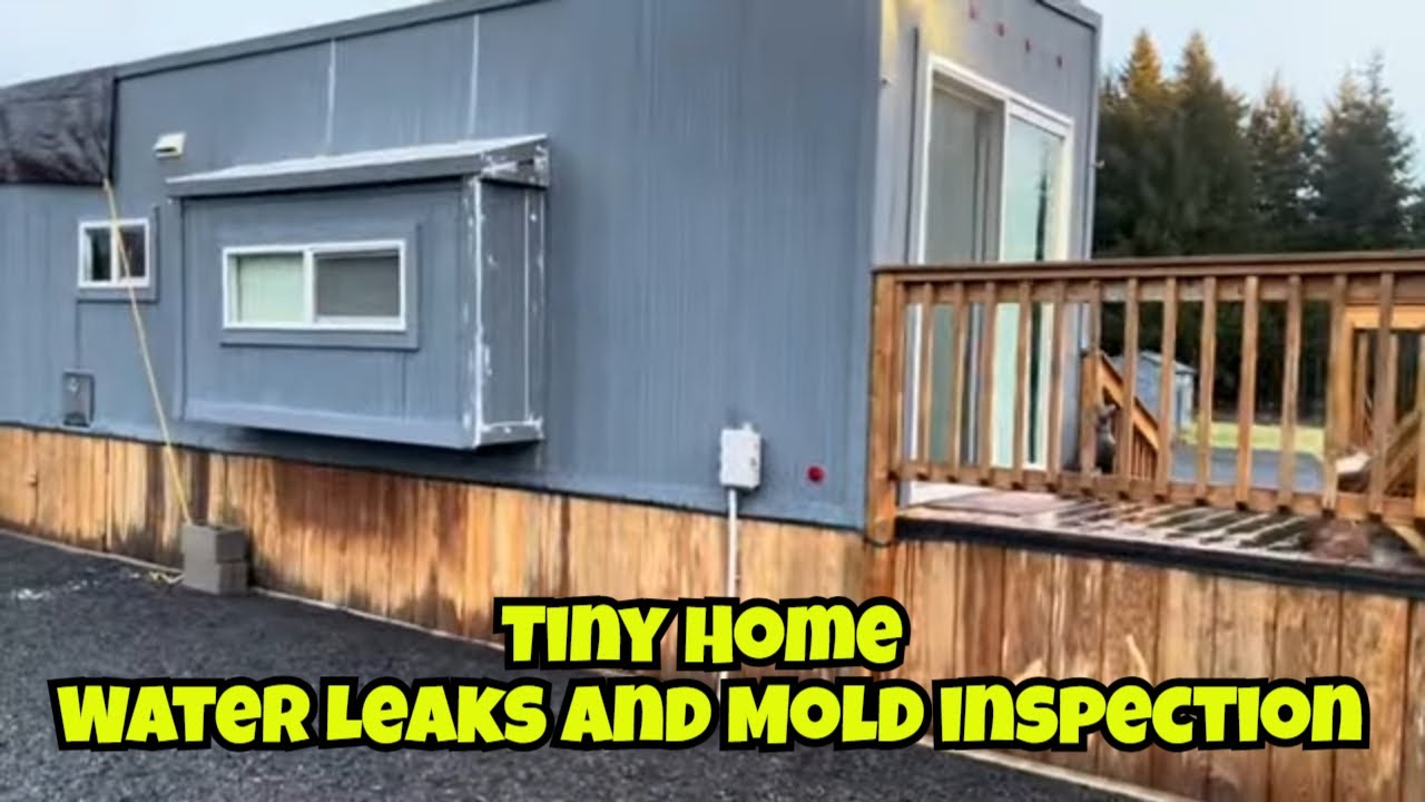 Check Your Tiny Home Water Leaks and Mold