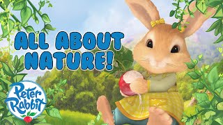 officialpeterrabbit exploring nature with peter rabbit compilation cartoons for kids