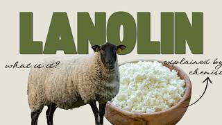 What is Lanolin? A Materials Chemist Explains