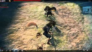 Vindictus Dungeon