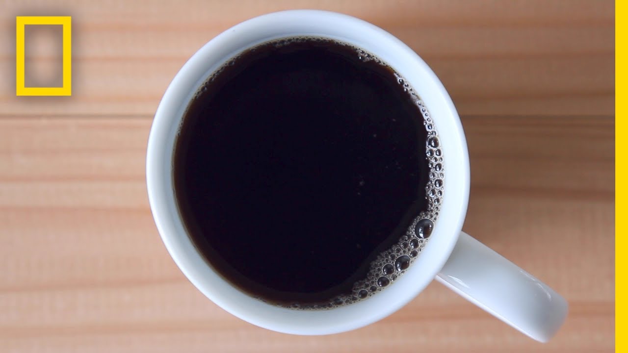 Free coffee and other caffeinated perks for National Coffee Day