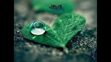سورة الاحقاف ( عبدالله بدر )