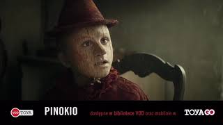 Tv Toya - 2X Ident, Reklama 24.12.2020