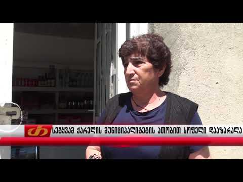 სეტყვამ ქარელის მუნიციპალიტეტში ათობით სოფელი დააზარალა