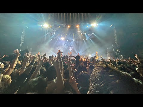coldrain/NEW DAWN LIVE