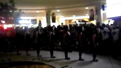 Salute @ DGC Meet the Greeks Fall 2011 Lambda Theta Alpha Beta Theta