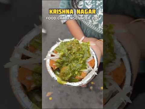 ₹250 Krishna Nagar Street Food Challenge 😱 Kitna Kha Sakta Hoon? 🔥#shorts #food #foodie