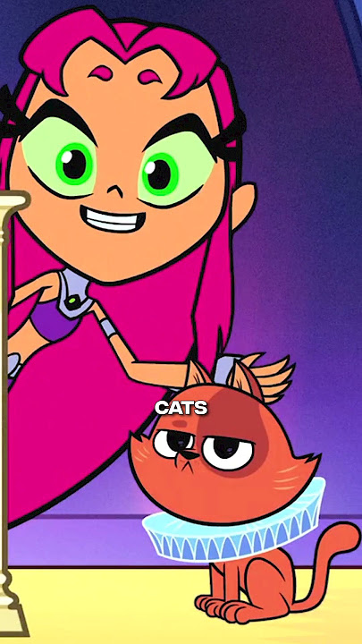 The Banned Teen Titans GO! Episode