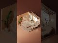 3D Isometric Interior Design - Bedroom - Created and Animated in Blender #shorts #isometric #3d