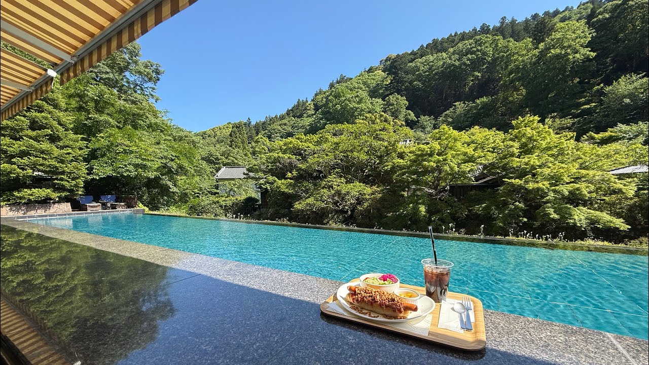 国内旅行 2026 ライブ配信