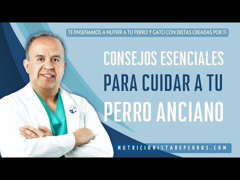 Video: Cinco Consejos De Salud Para Alargar La Vida De Su Mascota