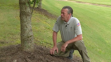 Fertilizing Trees – Family Plot