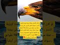 لو كان الإنسان يمتلك رؤية جيدة كرؤية النسر فسوف نكون قادرين  اكسبلور القزابري علم النفس
