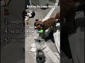 Ranking Dog Funny Moments