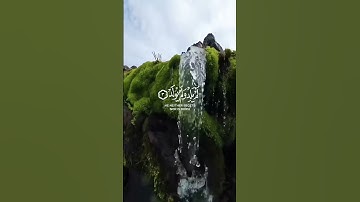 سورة الإخلاص ♥️ #راحة_نفسية #القرآن_الكريم #تلاوة_خاشعة