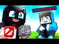 HO TRUFFATO UN TRUFFATORE SU MINECRAFT. (godo)