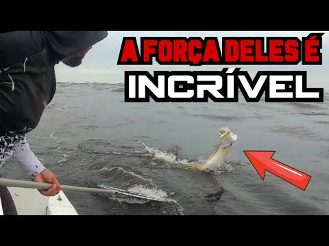 OS MONTROS DE ITANHAÉM - PESCARIA COM ISCA ARTIFICIAL
