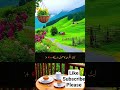 #viralreels #viralvideo #love #islamicshorts #islamicshorts #islamicvideo #beautiful