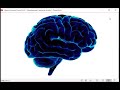 Вебинар по книге Роуч Майкл Кармический менеджмент