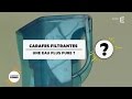 Carafes filtrantes : une eau plus pure ?