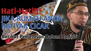 Hati-Hati Kalau Banyak Cicak Dirumah | Ustadz Adi Hidayat