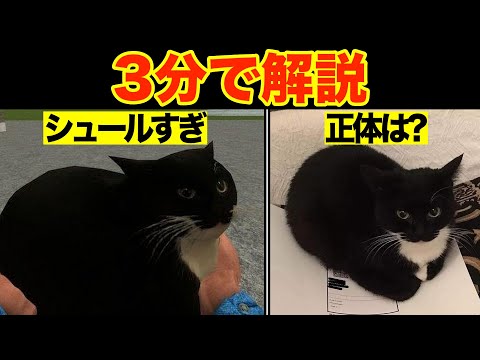 回る3Dネコ”Maxwell the cat”の元ネタとは？【海外ミーム解説】 - YouTube