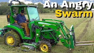 Bee Careful Where You Mow πππ