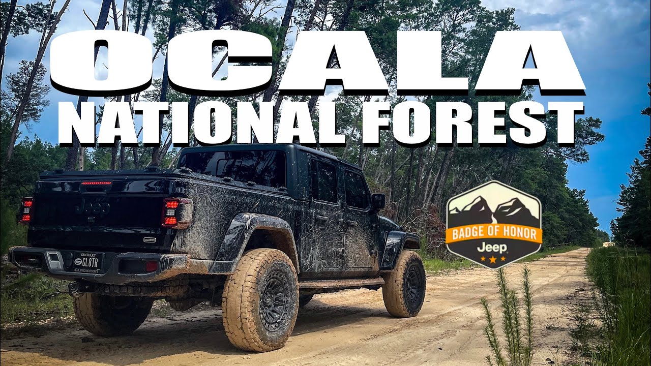 Tread Lightly! Four Wheel Drive Way Jeep Badge of Honor YouTube