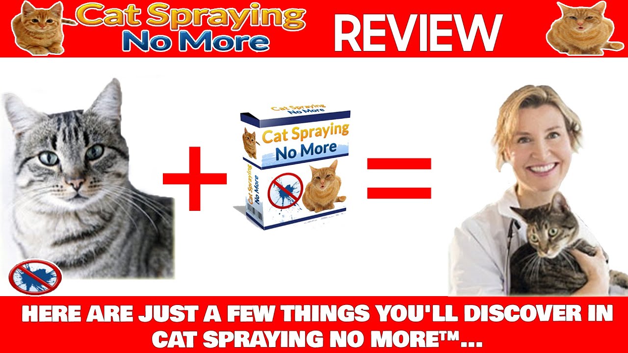 Cat Spraying No More Review - Here Are Just a Few Things You'll Discover in Cat Spraying No More™