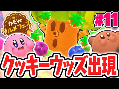 まさかのボス出現!?クッキーウッズを攻撃すると!?最速実況Part11【カービィのグルメフェス】