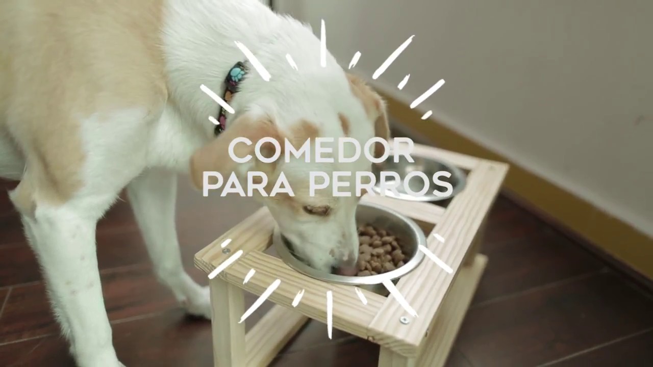 Comedor para perros