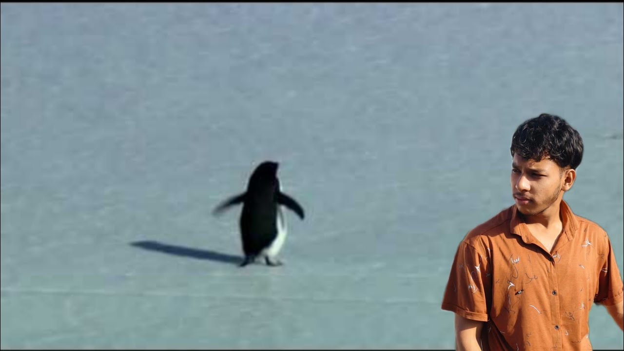 Penguin, Depressed...